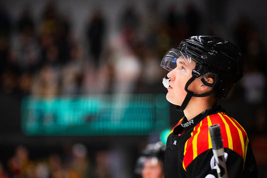 Brynäs Noel Gunler