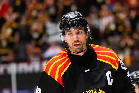 Brynäs Anton Rödin