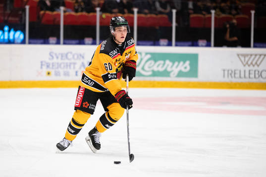 Luleås Julius Honka