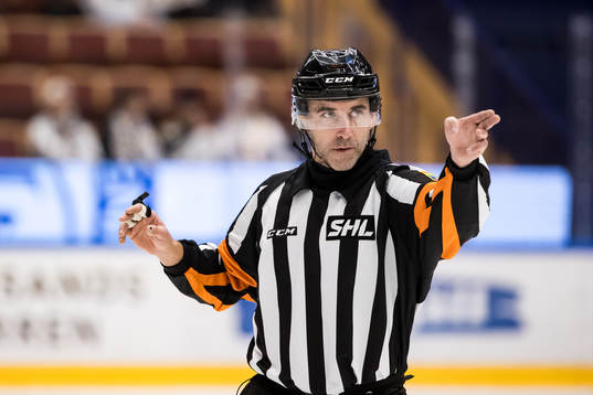 Domare Linus Öhlund