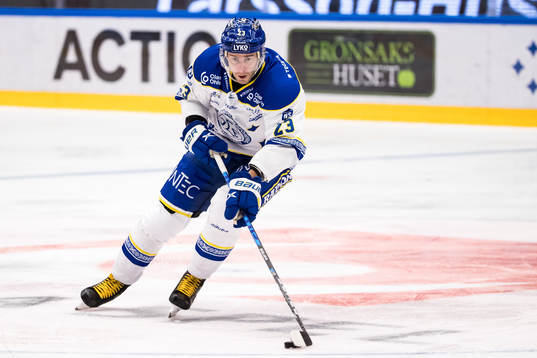 Leksands Mikael Ruohomaa