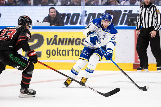 Leksands Mikael Ruohomaa