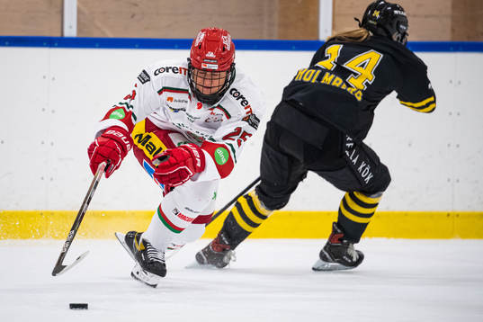 Modos Maja Grundström