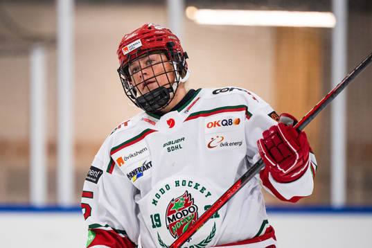 Modos Maja Grundström