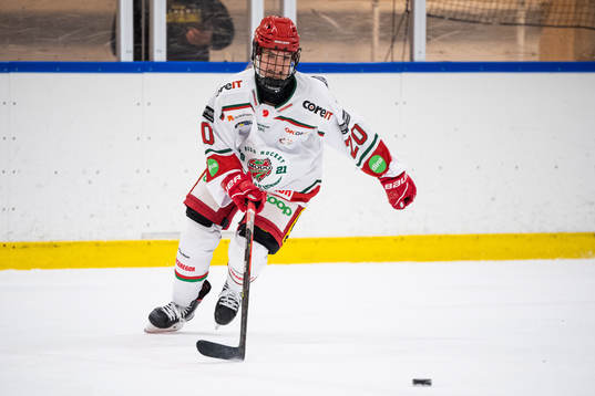 Modos Ebba Hedquist