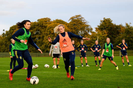 Goalkeeper Zecira Musovic and Amanda Ilestedt of the