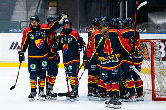 Djurgårdens spelare jublar