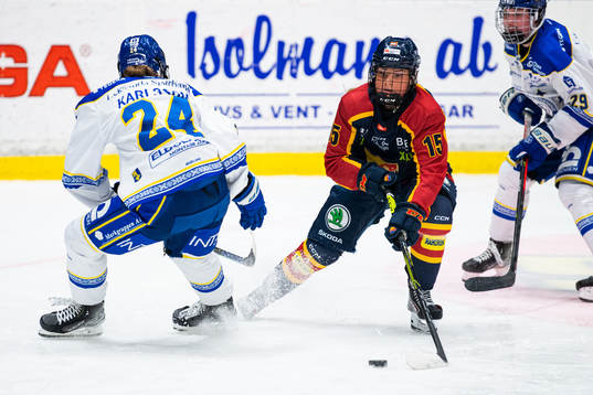 Djurgårdens Lova Blom