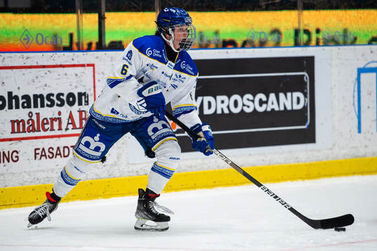 Leksands Gracen Hirschey
