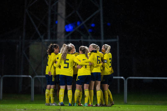 Players of Sweden celabrates