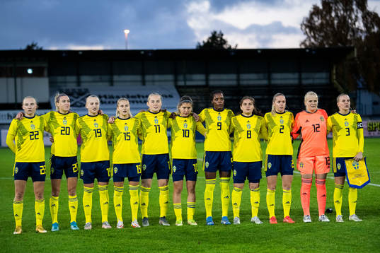 Players of Sweden