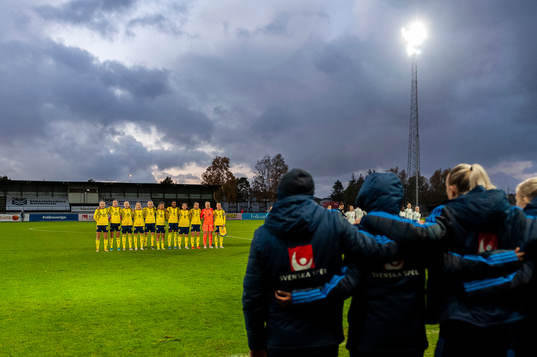 Players of Sweden