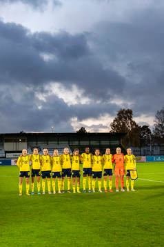 Players of Sweden