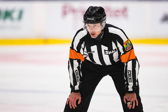 Domare Mikael Andersson