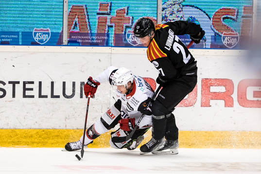Malmö Redhawks Carl-Johan Lerby och Brynäs Alexander