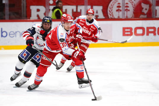 Timrås Ty Rattie