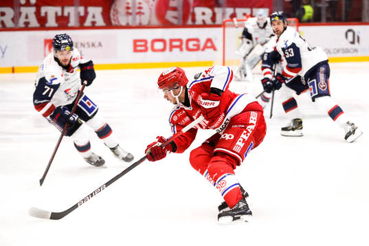 Timrås Ty Rattie