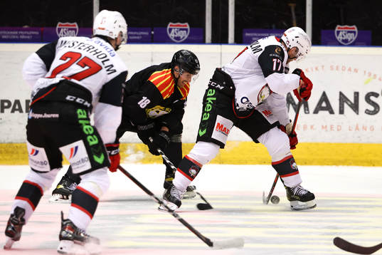 Brynäs Anton Rödin och Malmö Redhawks Pathrik Westerholm