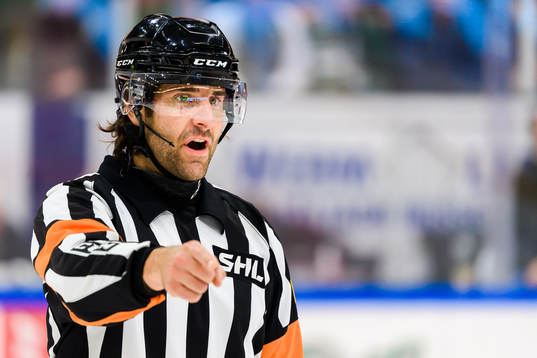 Domare Mikael Sjöqvist