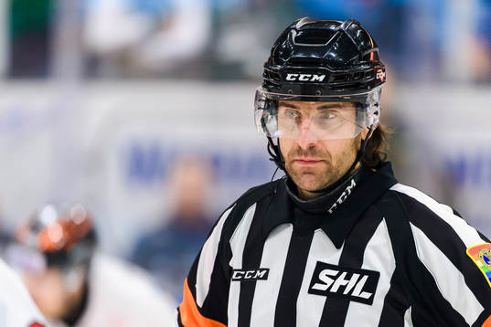 Domare Mikael Sjöqvist