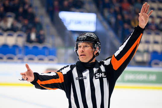 Domare Tobias Björk