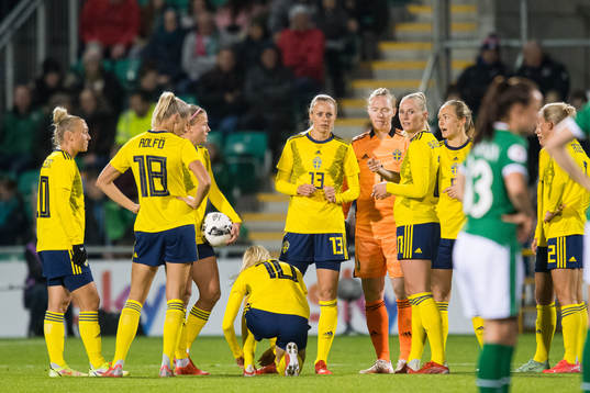 Amanda Ilestedt, goalkeeper Hedvig Lindahl, Stina