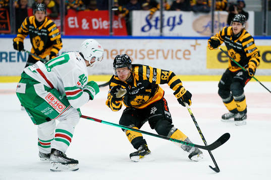 Rögles Oskar Stål Lyrenäs och Skellefteås Jonathan Pudas