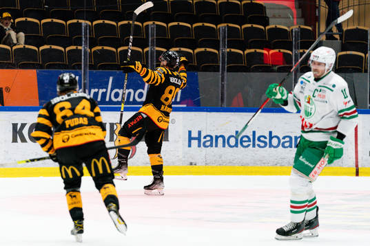 Skellefteås Jayce Hawryluk jublar