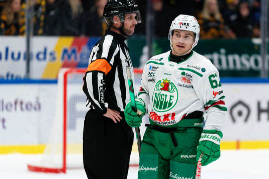 Rögles Leon Bristedt