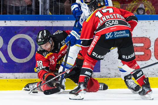 Luleås Joonas Rask