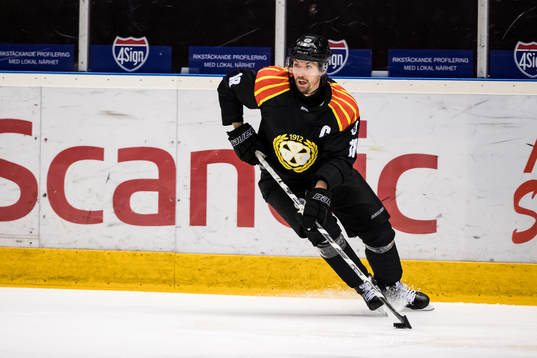 Brynäs Anton Rödin