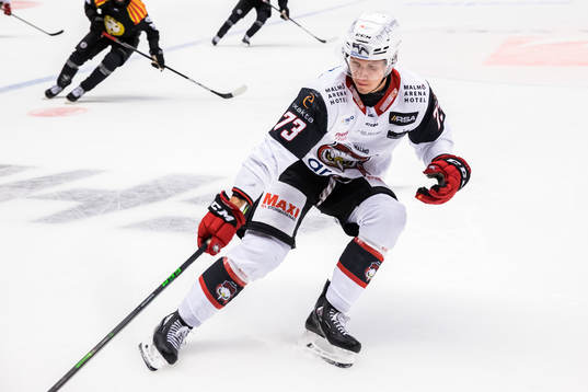 Malmö Redhawks Adam Ollas Mattsson