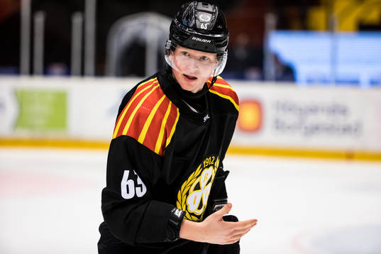 Brynäs Julius Bergman