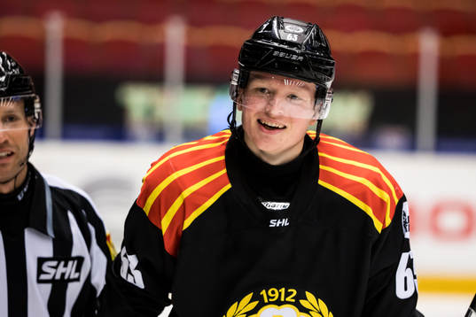 Brynäs Julius Bergman