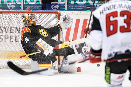 Brynäs målvakt Veini Vehviläinen