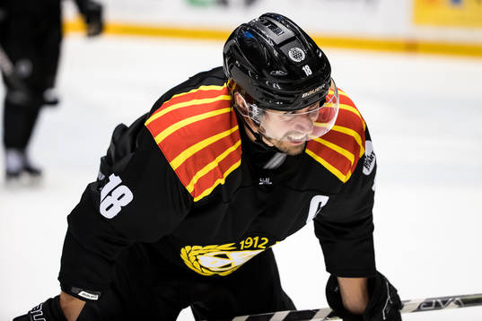 Brynäs Anton Rödin