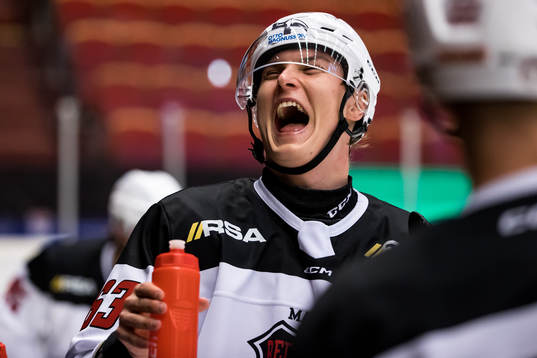 Malmö Redhawks Fredrik Händemark
