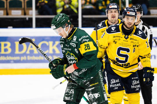 Björklövens Adam Plant deppar