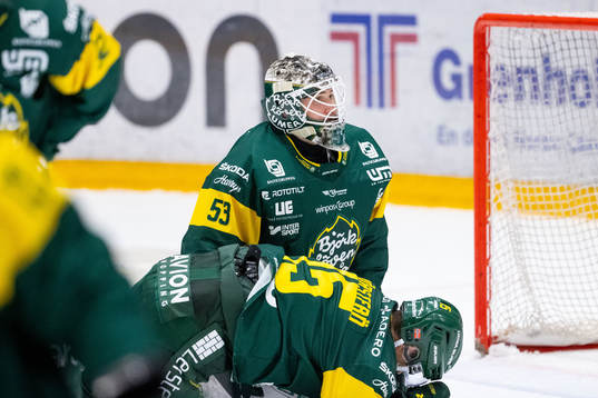 Björklövens målvakt Claes Endre deppar