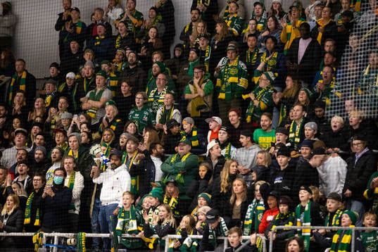 Björklövens klack Green Devils