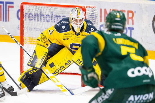 Södertäljes målvakt Nikita Tolopilo