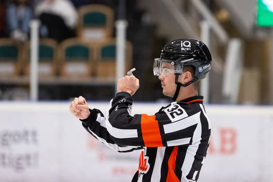Domare Filip Eriksson