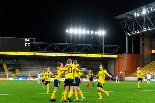 Sveriges spelare jublar