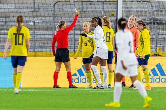 Domare Ana Maria Alexandra Terteleac varnar Sveriges