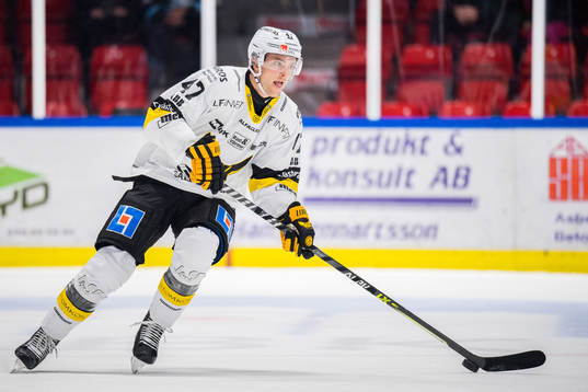Västerås Logan Roe