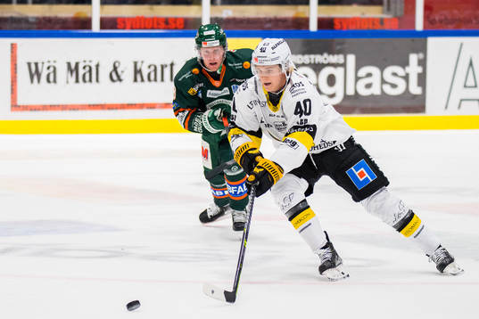Västerås Isak Skedung