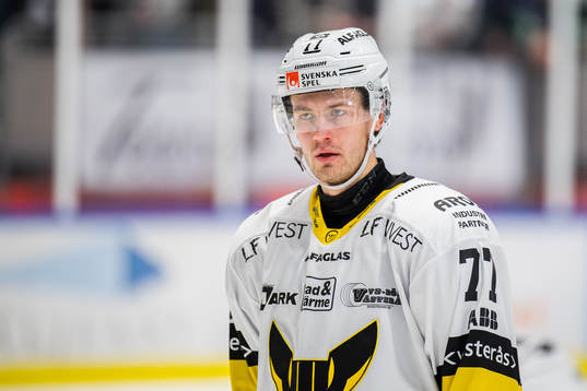 Västerås Ludvig Jardeskog