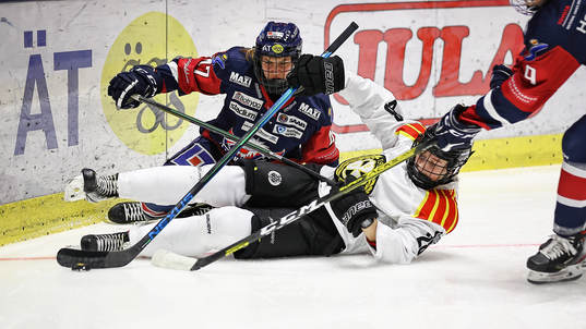Linköpings Lenka Serdar och Brynäs Jenny Antonsson