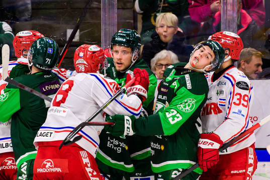 Timrås Robin Hanzl