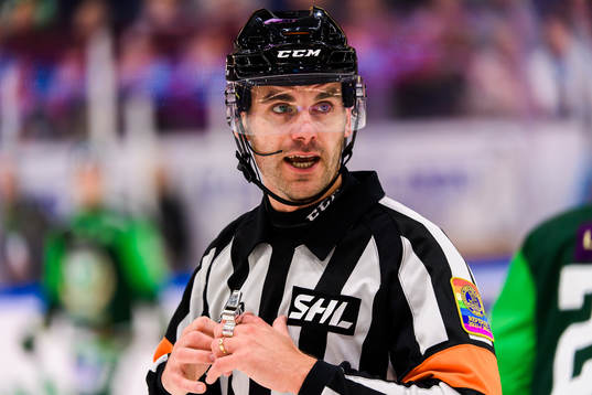Domare Richard Magnusson